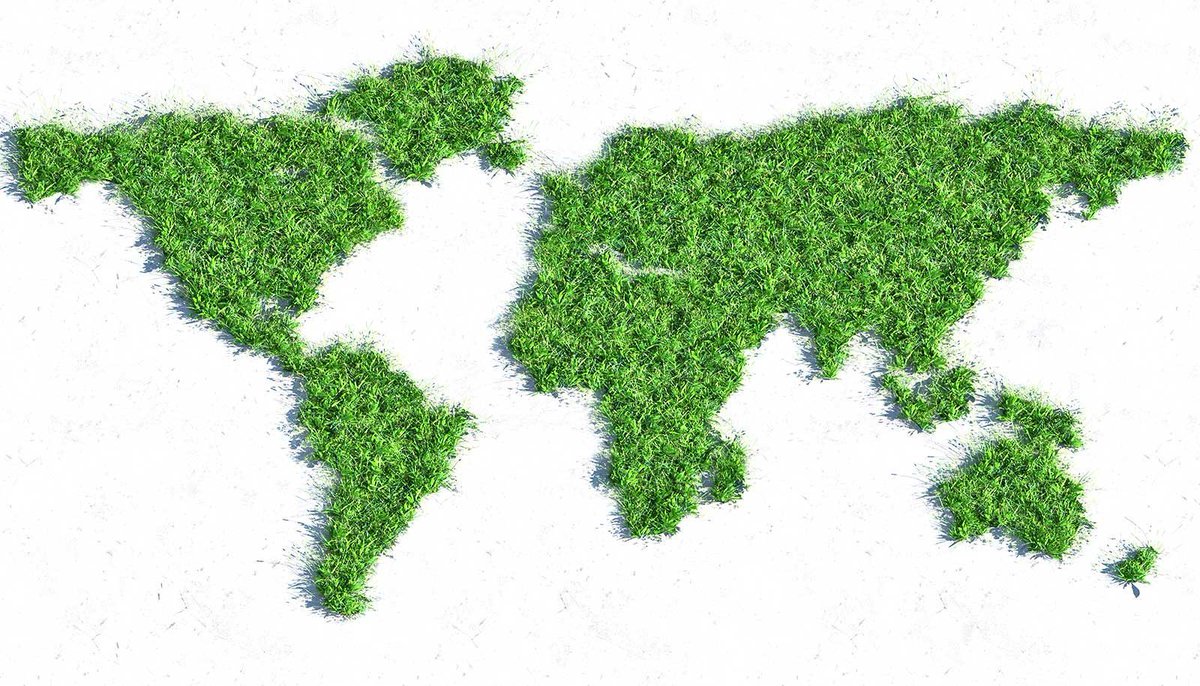 How plants shape Earth's climate bit.ly/44lH0lk