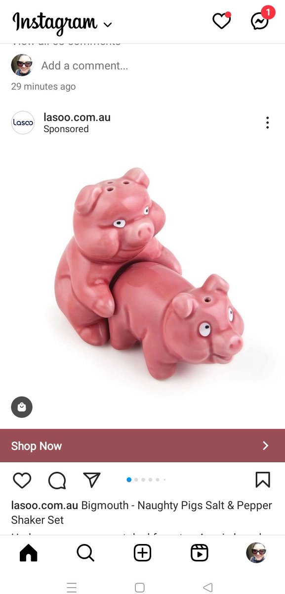 Just scrolling on Instagram and this sponsored ad shows up. Ziggy piggy 🐷 👀