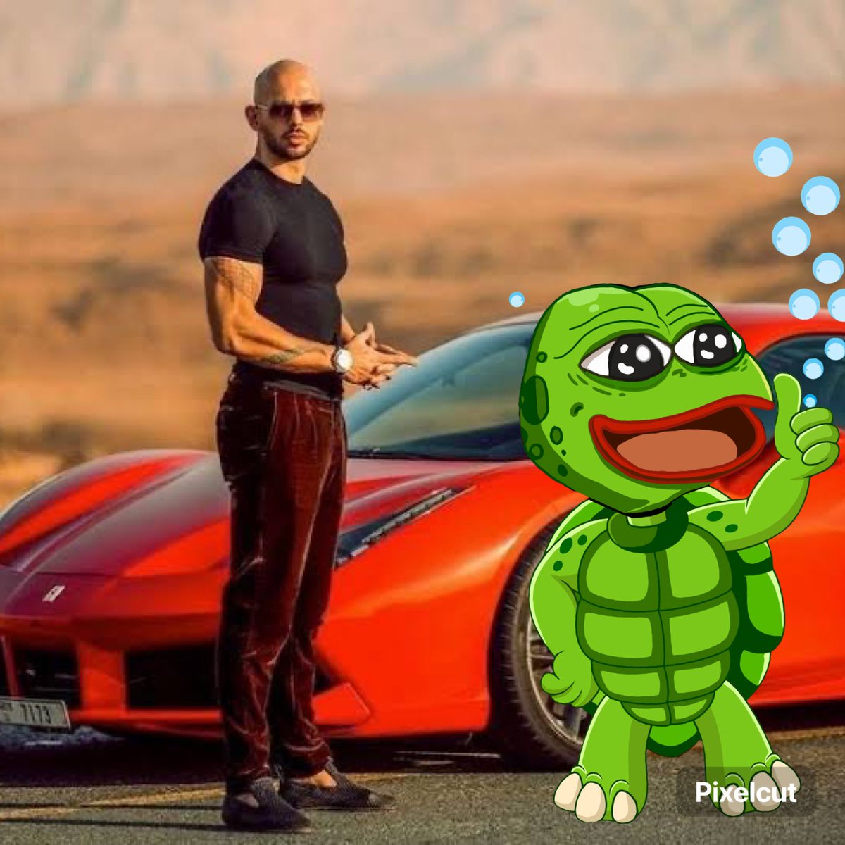 SquirtingOnSol's tweet photo. How’s my Bugatti looking @Cobratate https://t.co/8JKvGntpee