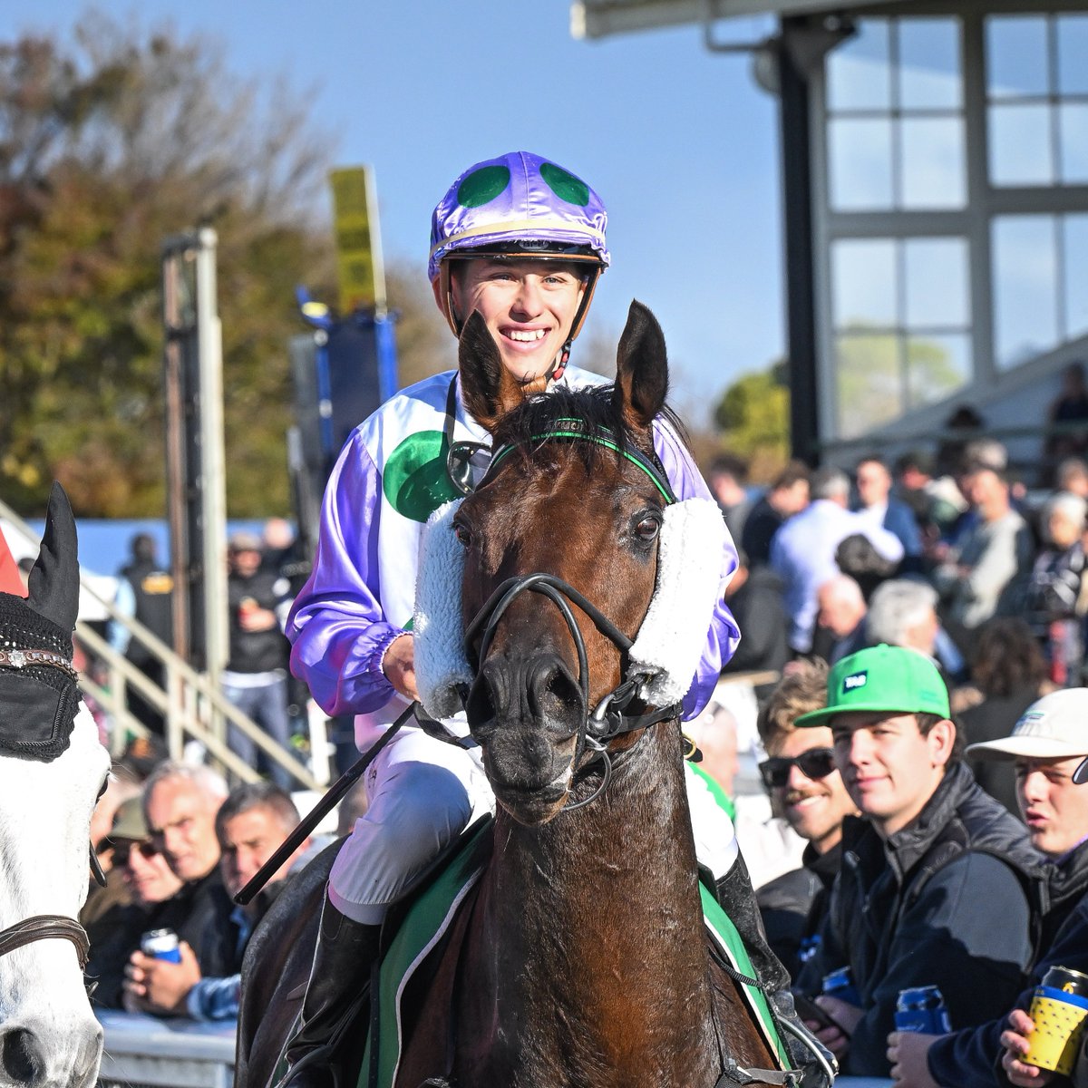 The 2023-24 Victorian Country Cups Series continues at @wboolracingclub tomorrow with coveted points up for grabs in the $300,000 Sungold Milk Warrnambool Cup! READ | racingvictoria.com.au/news/2024-05-0…