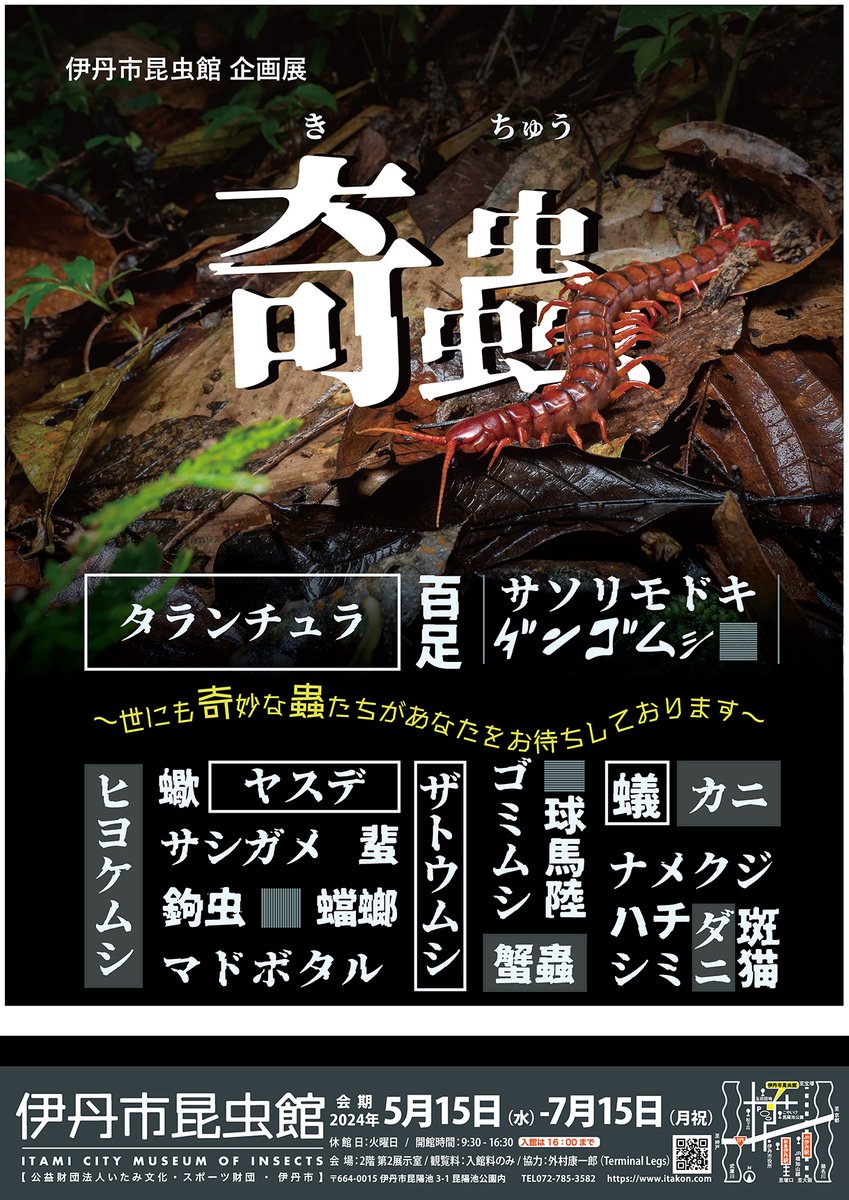 5月15日から企画展奇蟲が開催されます。
そのポスターが出来上がりました！
関連イベントの観察会の申し込みが本日よりスタートしております。お見逃しなく！
itakon.com/schedule.pdf
＃企画展奇蟲