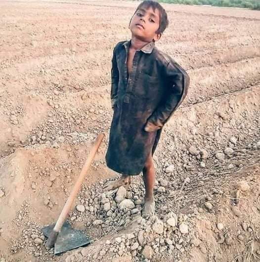 Ali_Langah_'s tweet photo. مزدورن جو عالمي ڏينھن مزدورن جا حق کائيندڙ مافيا ملھائي رھي آھي ۽ مزدور اڄ موڪل ڪرڻ بجاء مزدوري تي آھي ان ڪري جو پيٽ ماني جي موڪل ناھي ڪندو...
#LabourDay2024 https://t.co/hzz1KIrftn