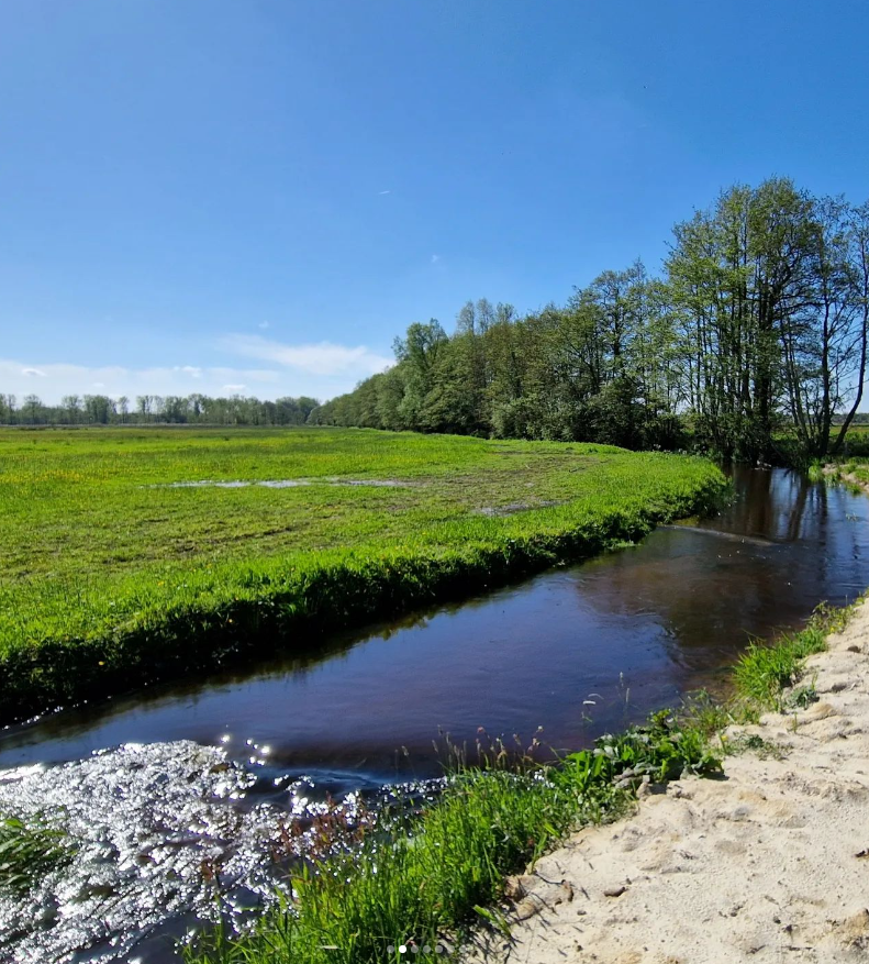 weerverteller's tweet photo. En zo komt de #Hierdensebeek, na een pad van ongeveer 25 kilometer door de natuur van de #Veluwe, even buiten #Hierden bij het #Veluwemeer aan. Al het beekwater stroomt daar het meer in. #lente #nat #beken https://t.co/gXLzeX4Gqt