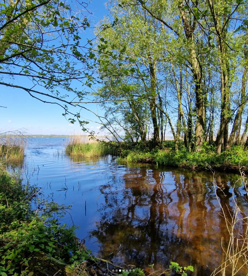 weerverteller's tweet photo. En zo komt de #Hierdensebeek, na een pad van ongeveer 25 kilometer door de natuur van de #Veluwe, even buiten #Hierden bij het #Veluwemeer aan. Al het beekwater stroomt daar het meer in. #lente #nat #beken https://t.co/gXLzeX4Gqt