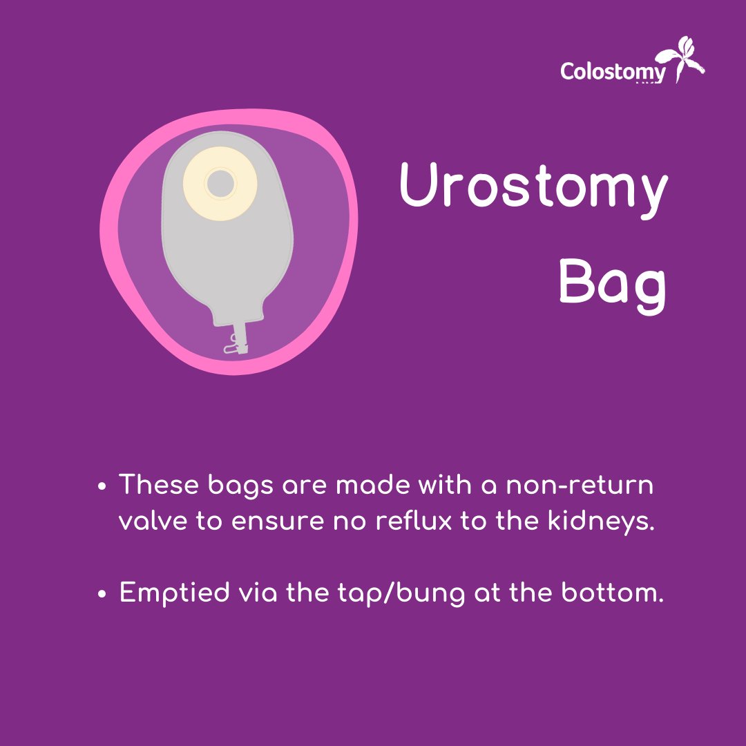 When it comes to stoma bags, there's a lot to learn. We've created this bitesize guide on the different types of #stoma bags, systems and products to help you get started or to share with your friends and family, so they can be #StomaAware 💜

#colostomy #urostomy #ileostomy