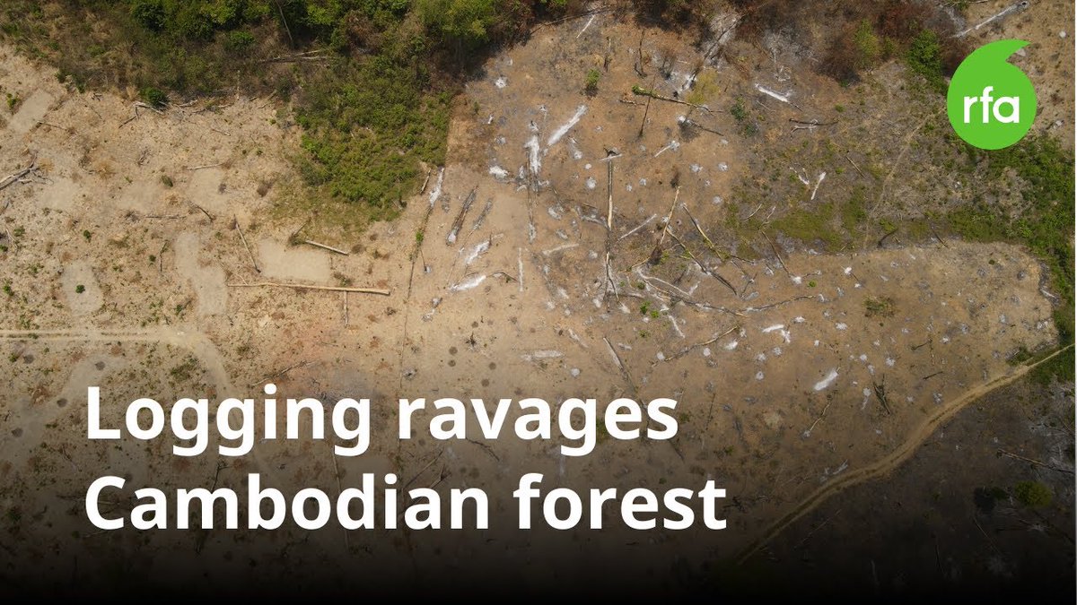 Drone footage shows Cambodian forest sanctuary ravaged by logging
👉 youtu.be/Dyr2fdBPNmc
---
#RFAKhmer #Cambodia #HunManet #HunSen #EangSophalleth #DefenderKH #PreahVihear #Preylang #Environment #Logging #Deforestation