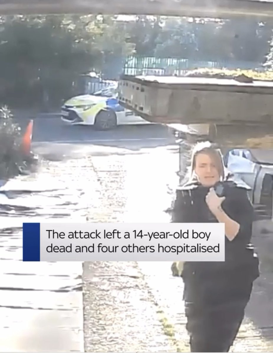 Billybea's tweet photo. Such a brave young lady, give this Police officer a medal. https://t.co/vFw5kOxlIt