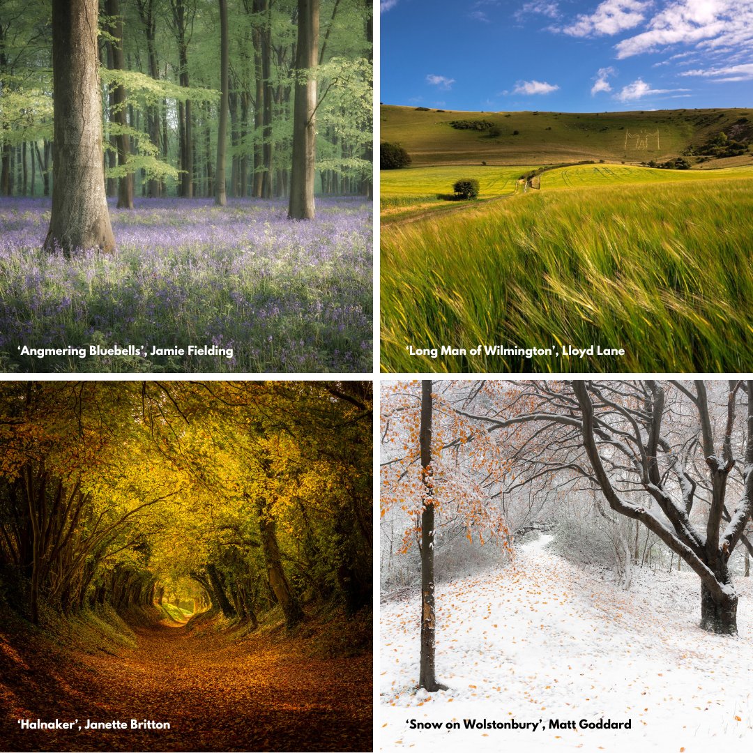 🥁 And the theme for the 2024 South Downs Photo Competition is.... ...'Stunning Seasons of the South Downs.' Our judges will be looking for breath-taking images showing the seasonal glory of the National Park. Good luck 👉 southdowns.gov.uk/care-for/photo…