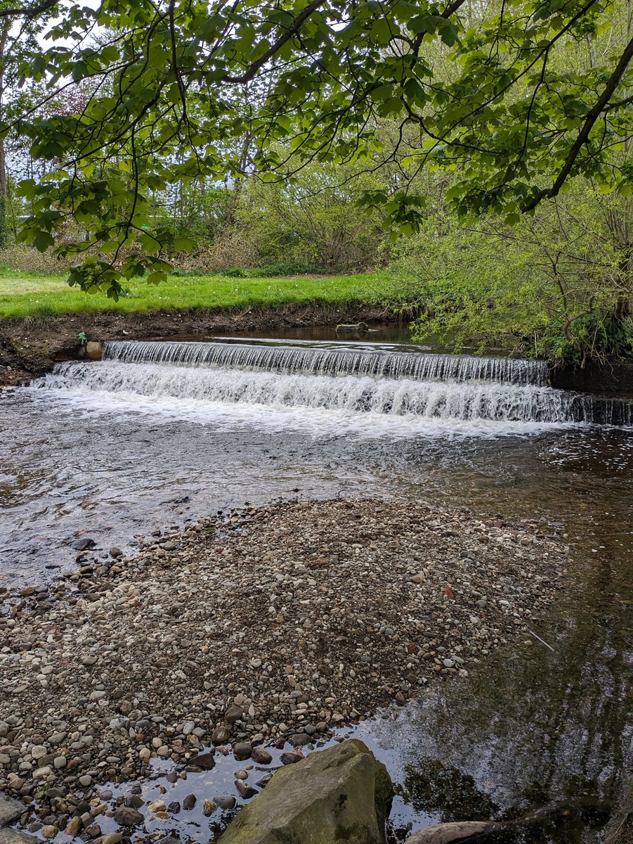 A man-made weir, not particularly large, No fish can swim upstream over the weir. This is because of the two step design and squared edges. No doubt this will be reducing the number of fish in the river.