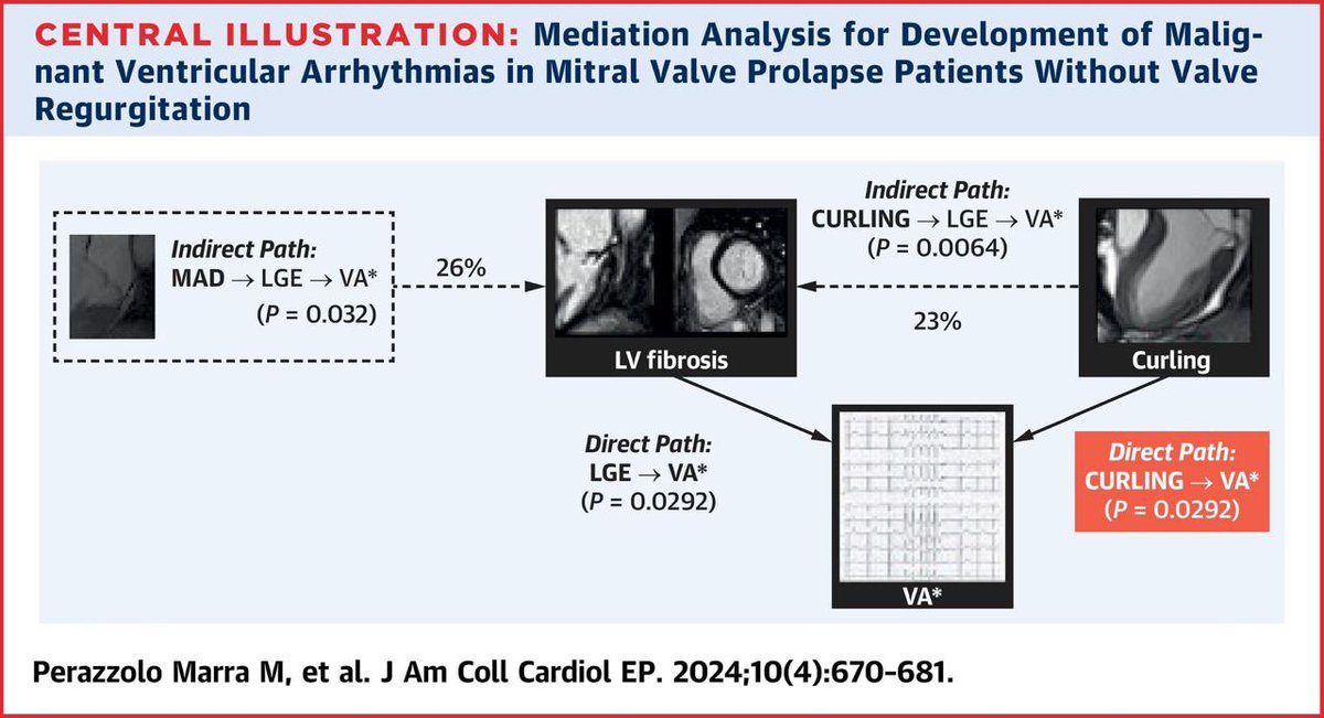 Determinants of Ventricular Arrhythmias in Mitral Valve Prolapse

In patients with MVP the occurrence of VA with right bundle branch block morphology is the expression of more severe morphologic, mechanical, and tissue alterations.

jacc.org/doi/10.1016/j.…