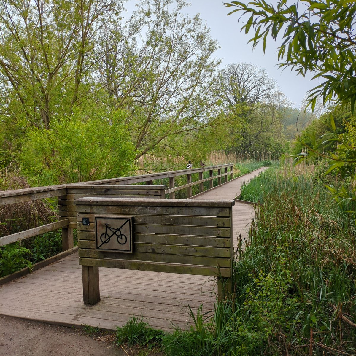 Good morning @laurenlaverne and @BBC6Music my next pick up at work has been cancelled so I've taken myself for a long walk around Morden hall park & I'm #firstin the park. please could kindly request wolf Alice Bro? Have a great day!