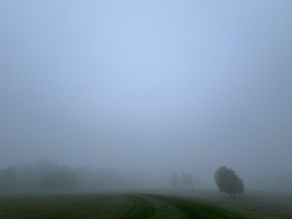 Fog #greenkeeper