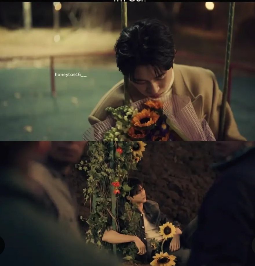 ภาษาดอกไม้ของดอกทานตะวัน
= สัญลักษณ์ของความมั่นคง รักเดียวใจเดียว และให้คำสัญญาว่าจะรักและอยู่เคียงข้างเธอตลอดไป