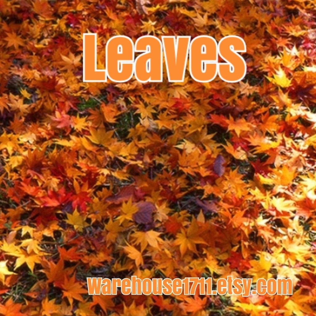 Leaves (Type) Candle Fragrance Oil tuppu.net/98109609 #candleoils #explorepage #candlemaker #Warehouse1711 #dtftransfers #handmadecandles #glitter #aromatheraphy #CinnamonCloves