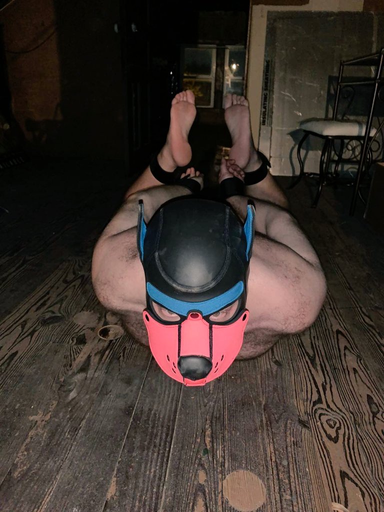 pupatlas_ny's tweet photo. Always a fun night starting with clothing, gagged, and a gas mask sniffing a sneaker then having it end naked, in chastity, and hogtied in a dirty attic space!! 😈 

Thank you @Curio_of_Kink for the great night and I'm sure @PupDart would approve me being locked in chastity 😝 https://t.co/CLzjuc9iLt