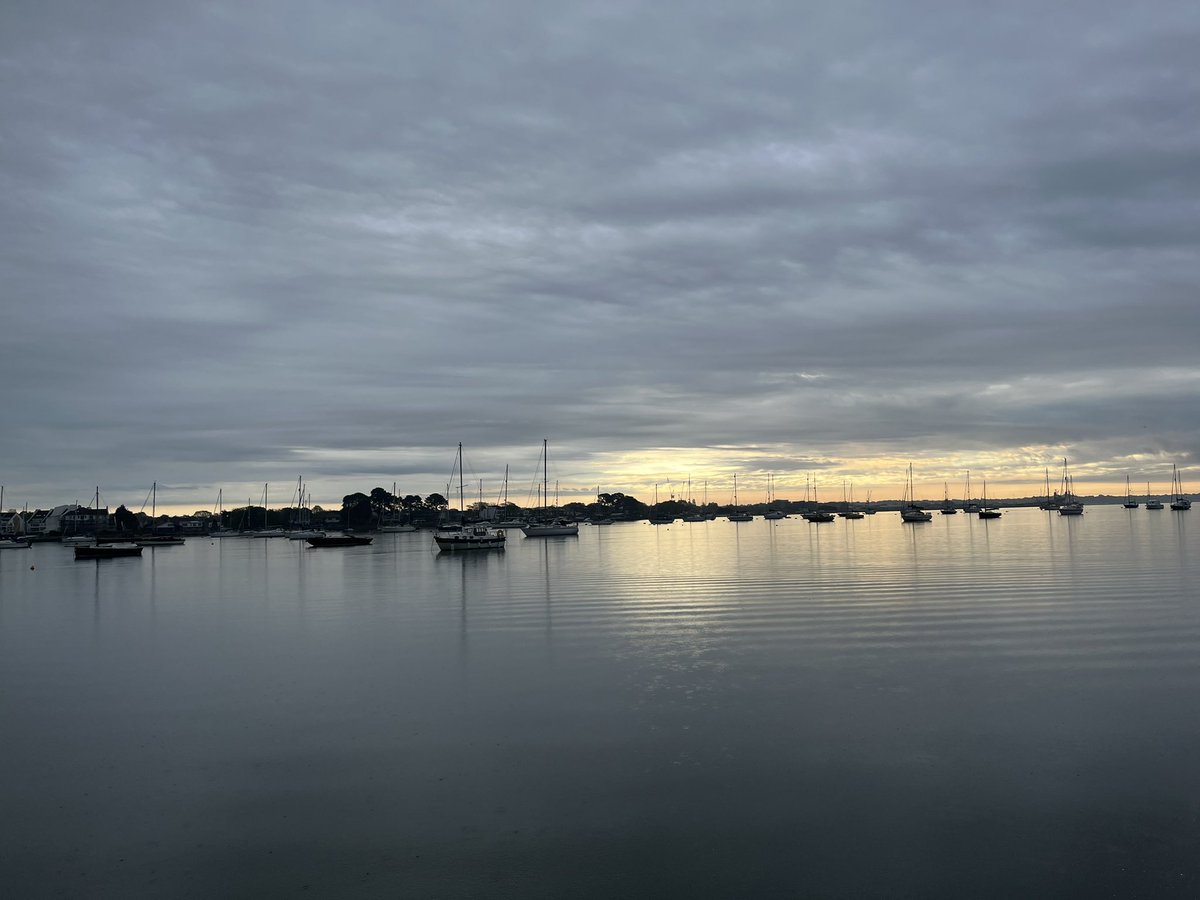 Annie Gilbert tweet media