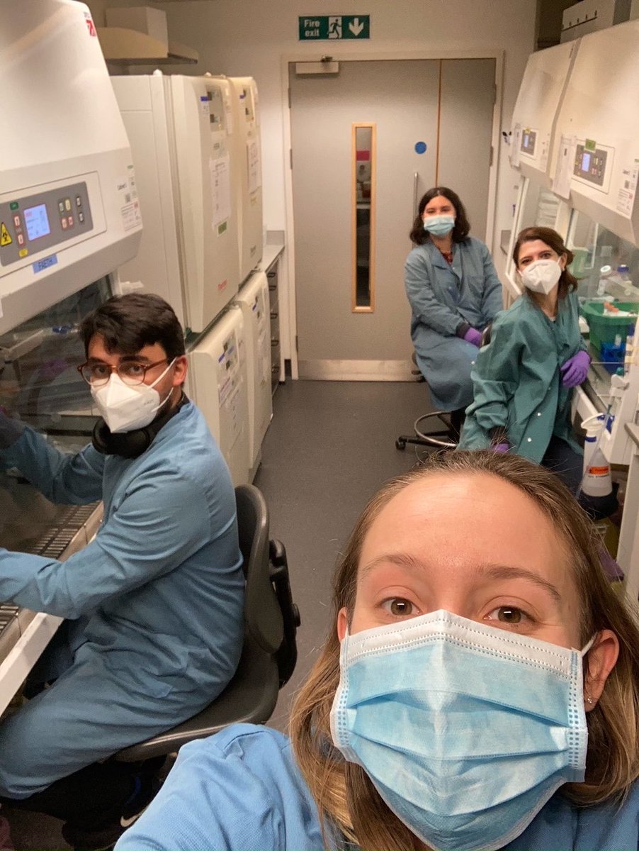 Giulia Biffi (@biffigiulia) on Twitter photo ๐จ Pre-print alert ๐จ
Congrats to โฆ<a href="/eloise_g_lloyd/">Eloise Lloyd</a>โฉ and the whole lab!Very proud of you all and this beautiful (yes Iโm biased) work.
Interested in #KRAS #SMAD4 #PDAC or the #TME?
๐๐ผ
biorxiv.org/content/10.110โฆ
Hope you enjoy the read as much as we enjoyed working on it! ๐จ Pre-print alert ๐จ
Congrats to โฆ<a href="/eloise_g_lloyd/">Eloise Lloyd</a>โฉ and the whole lab!Very proud of you all and this beautiful (yes Iโm biased) work.
Interested in #KRAS #SMAD4 #PDAC or the #TME?
๐๐ผ
biorxiv.org/content/10.110โฆ
Hope you enjoy the read as much as we enjoyed working on it!