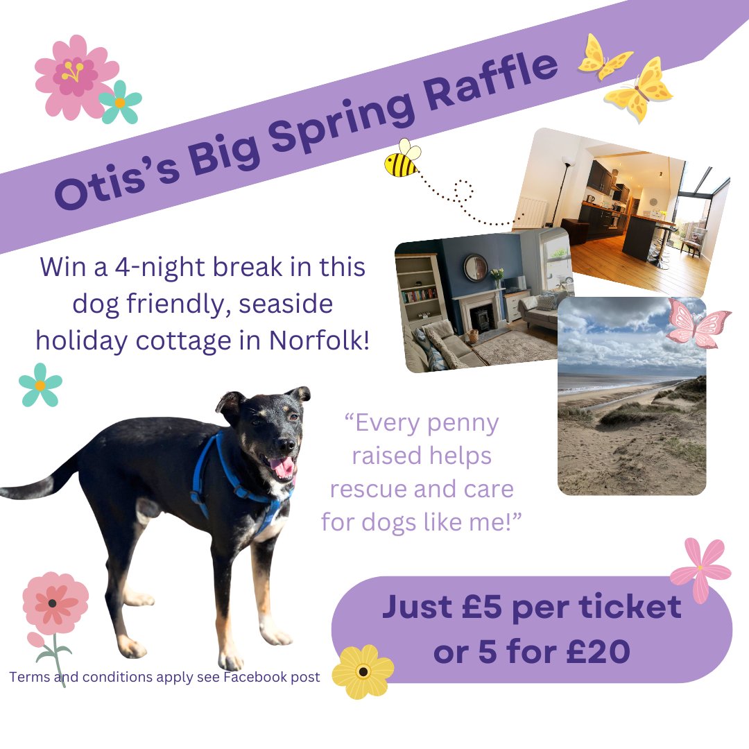 BIG SPRING RAFFLE Tickets! = £5 each or 5 for £20 Comment below to buy & your payment method. Please send either via: DD transfer to BMDR, Sort code: 52 21 30 Act: 26807629 Or Paypal: barkersdogs@outlook.com - pls make sure you send via Friends & family so we don’t get charged!