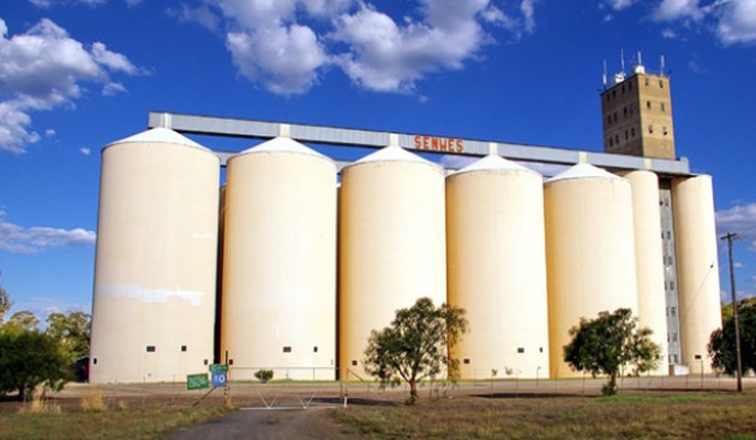 THE Grain Marketing Board’s grain stocks, as at April 25, for maize, small grains and wheat were at 308 139 metric tonnes, including wheat that is available for sale to millers of 122 072 metric tonnes.>rb.gy/v952xj