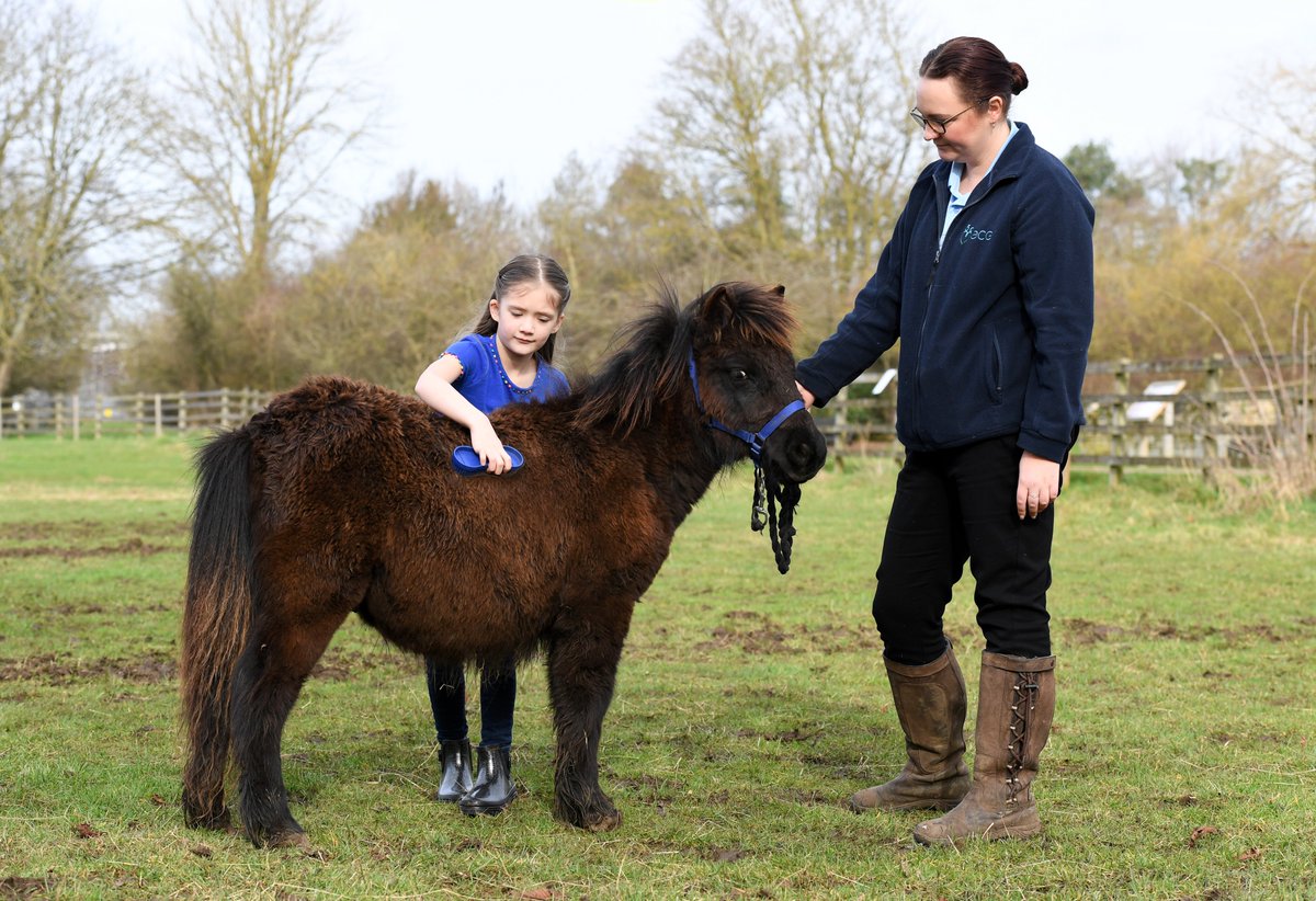 We are delighted to be able to offer #therapeutic #horse sessions here onsite at Makewell. These are open to anyone. More information here... wemakewell.co.uk/service/therap…