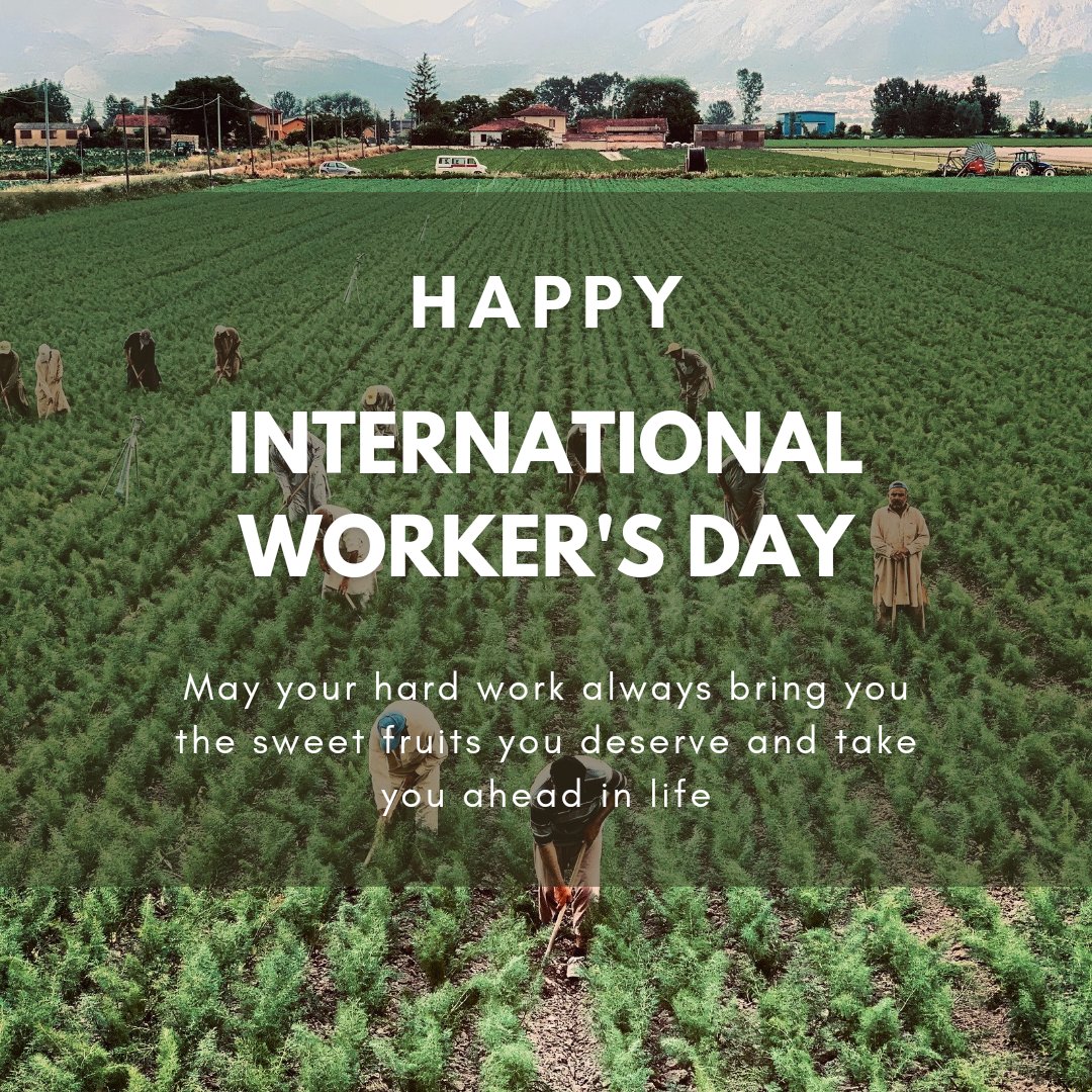 Happy International #Worker's Day! We celebrate the dedication of workers worldwide making intersection of labor rights⚖️, climate action, and sustainability. Together, we can build a future where both people and the planet thrive. 🌎🌍🌿 #Act4Nature #WorkersDay2024