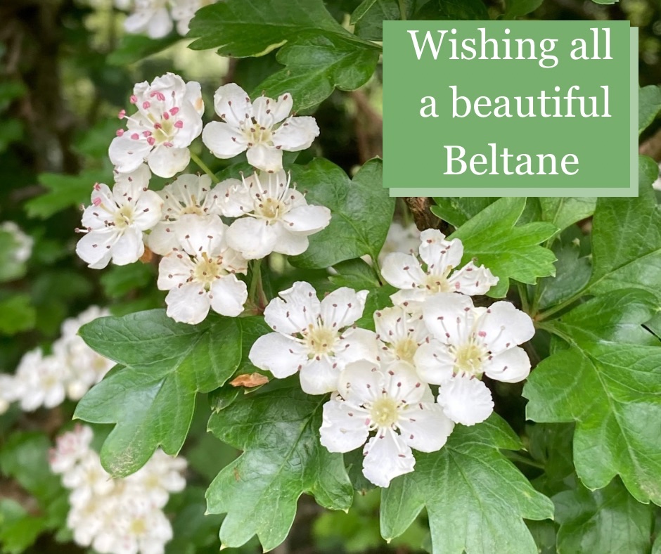 Wishing all a beautiful Beltane!