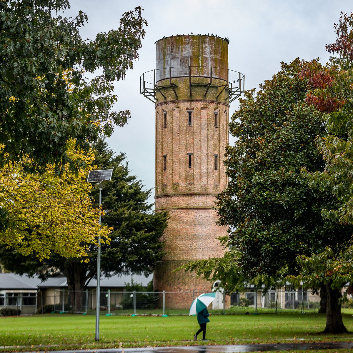 Water tower, Cambridge NZ