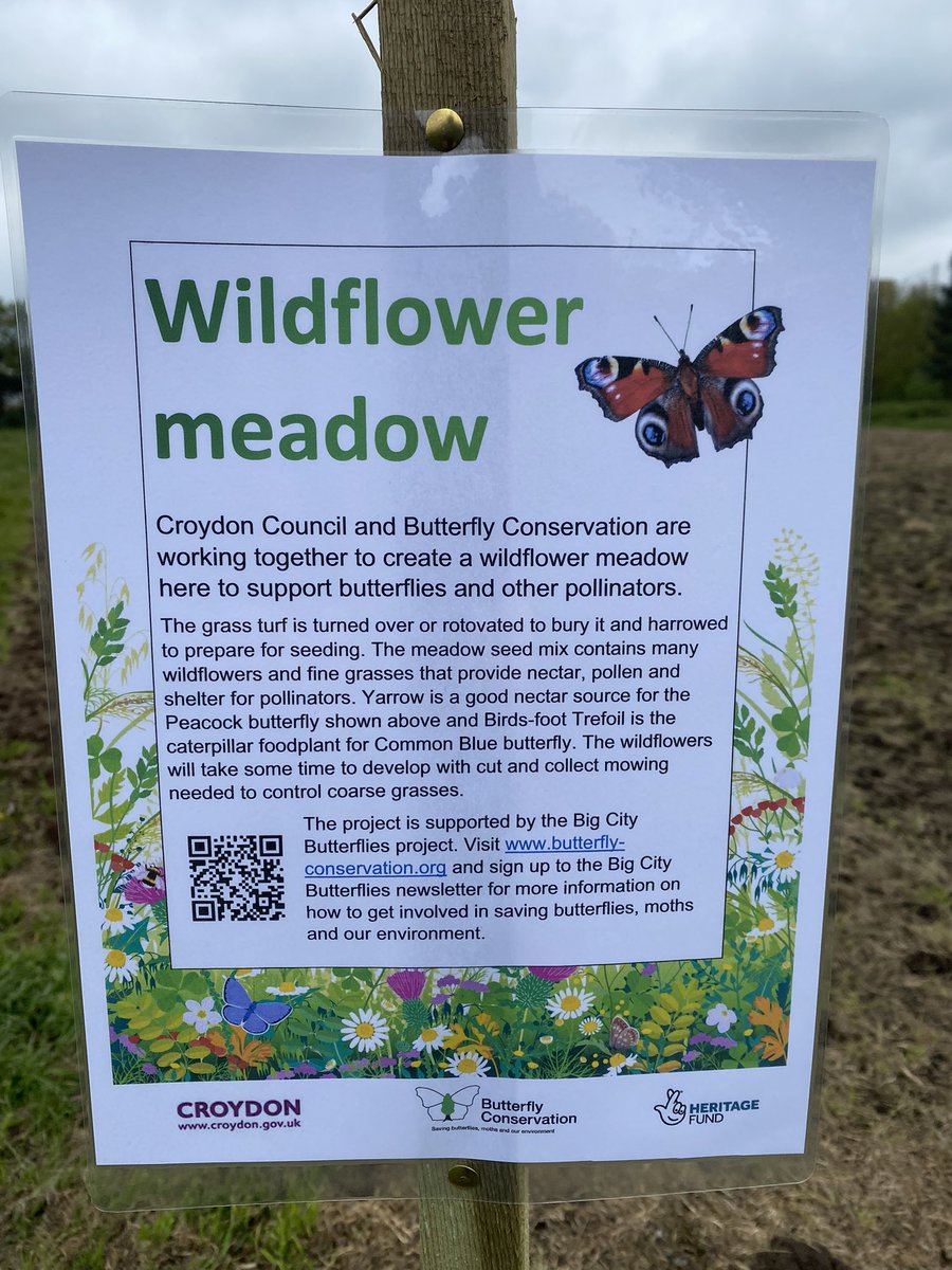 Coming soon in South Norwood Country Park 🦋 🙂#butterflyconservation #croydon