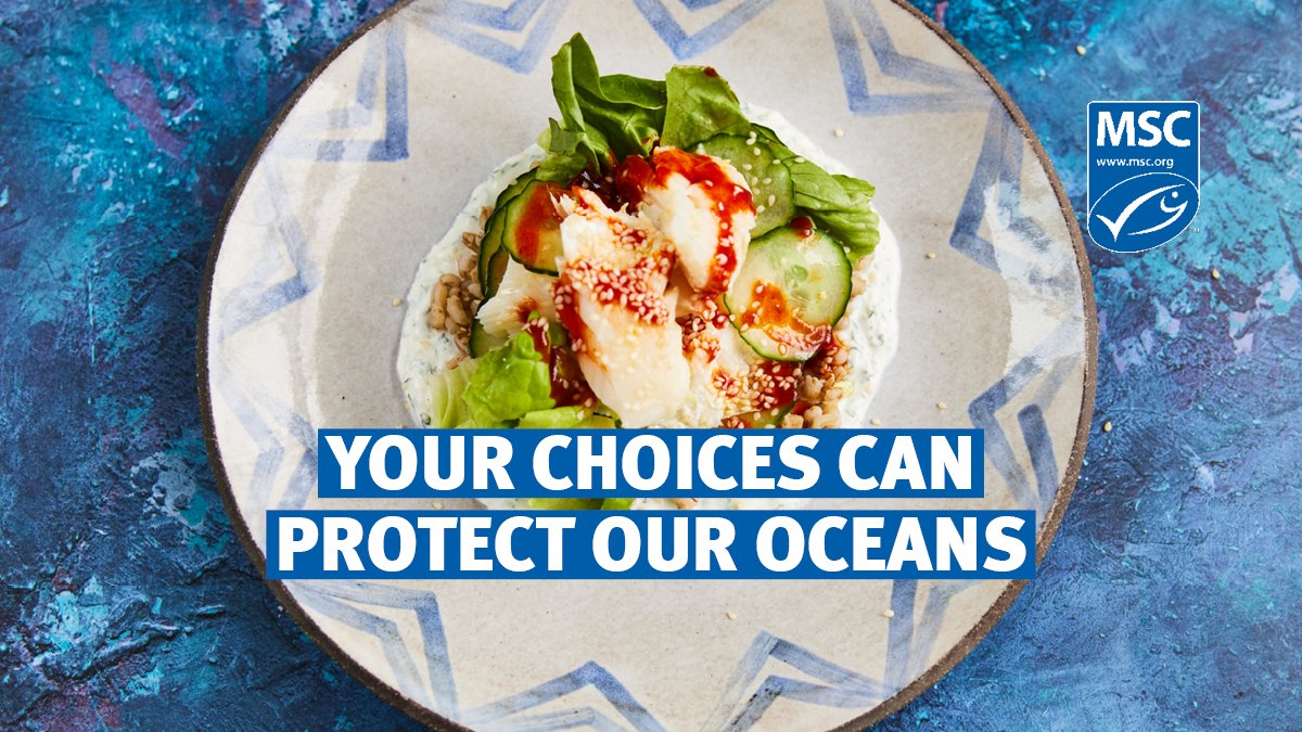 🔊 Did you know that when you choose to buy sustainable seafood , you’re encouraging more retailers to stock #SustainableSeafood? ➡ This means more fisheries want to be certified to the #MSCstandard and improve their fishing practices: bit.ly/3iIRx2a #MSCecolabel