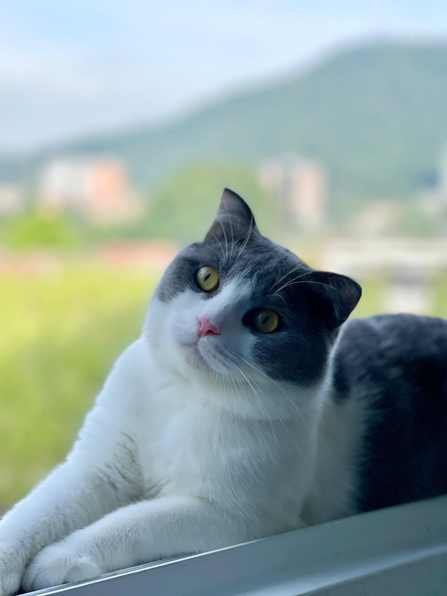 ilyakayy.eth tweet media