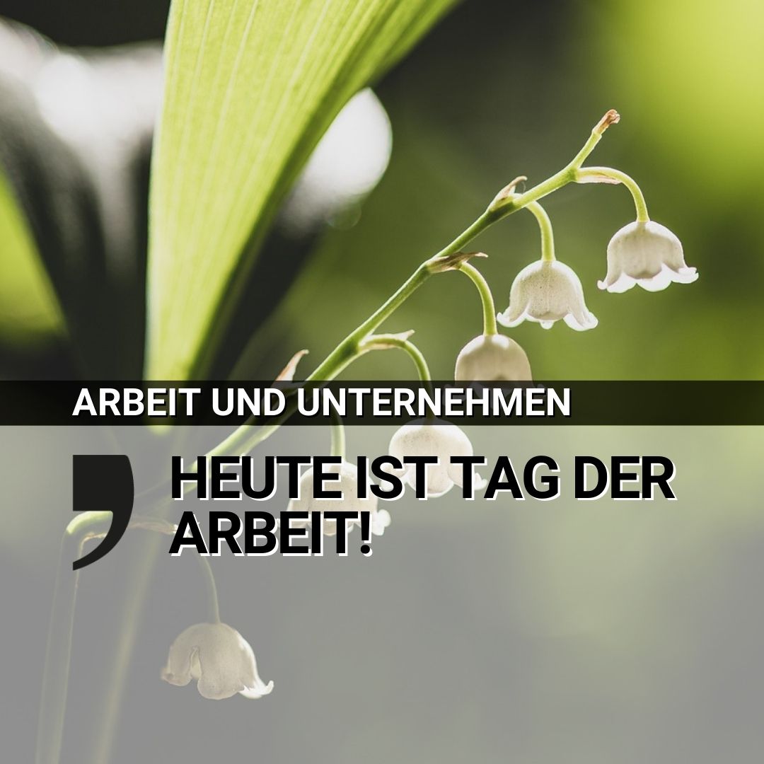 🎉Heute ist Tag der Arbeit!

Wussten Sie, dass der 1. Mai in der Schweiz zum ersten Mal im Jahr 1890 als Tag der Arbeit gefeiert wurde?
Sie haben Fragen zum Arbeitsrecht? Dann besuchen Sie unsere Internetseite: fr.ch/ama 📚