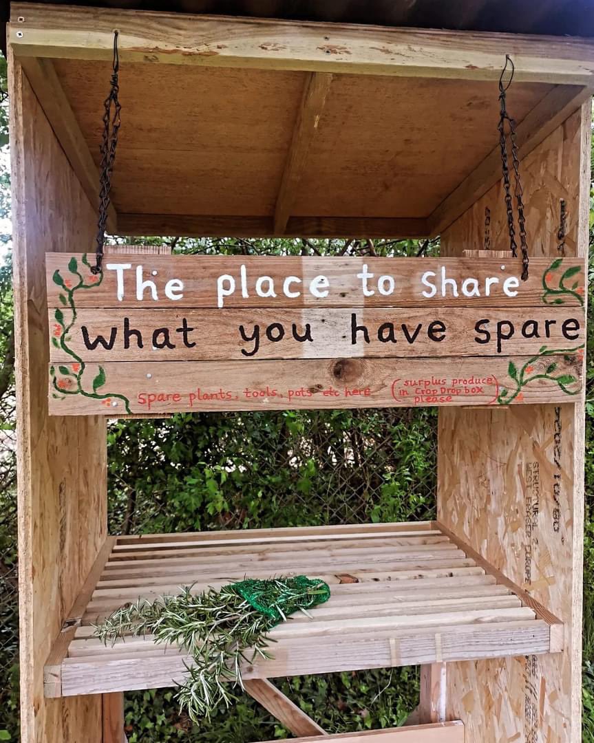 SaveCDAllotment's tweet photo. We LOVE to share and so we have created this sharing shelf on Save Combe Down Allotments ! 

It's "The place to share what you have spare "

Plot holders and local villagers, you are welcome to share your spare plants, tools etc here plus any surplus crops if the CropDrop.. https://t.co/RTaRK9a3D1
