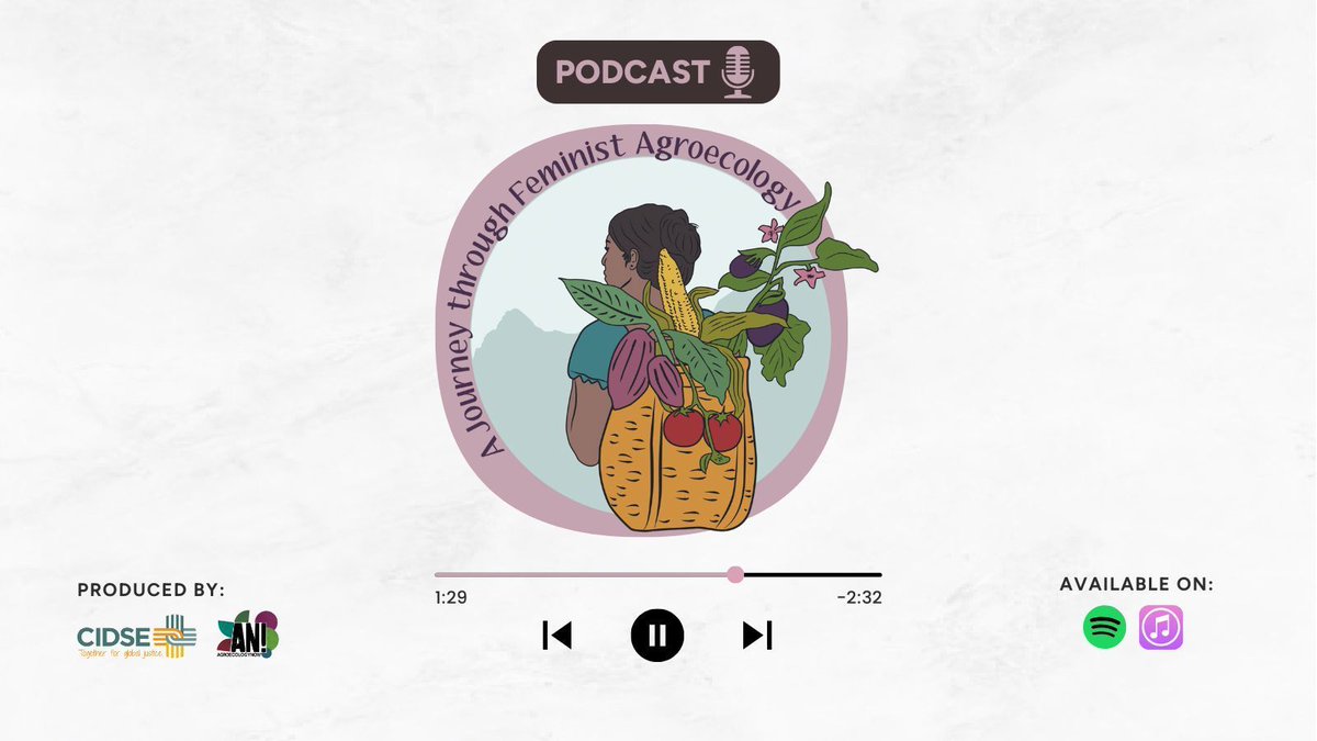 🌱 Our podcast mini-series features passionate voices advocating for feminist values in agroecology. Tune in to learn how we can center 'life' over profit in our #FoodSystems 🎧✨ buff.ly/49UvAXo