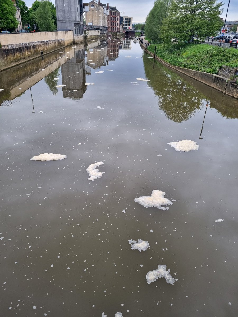 River Avon in the centre of Bath this morning, pollution as far as the eye can see
#SewageScandal @RiverActionUK