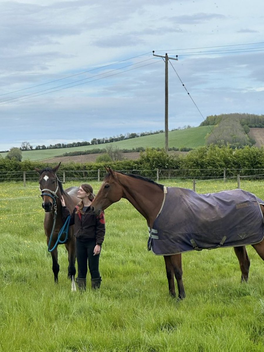Fergal O'Brien Racing tweet media