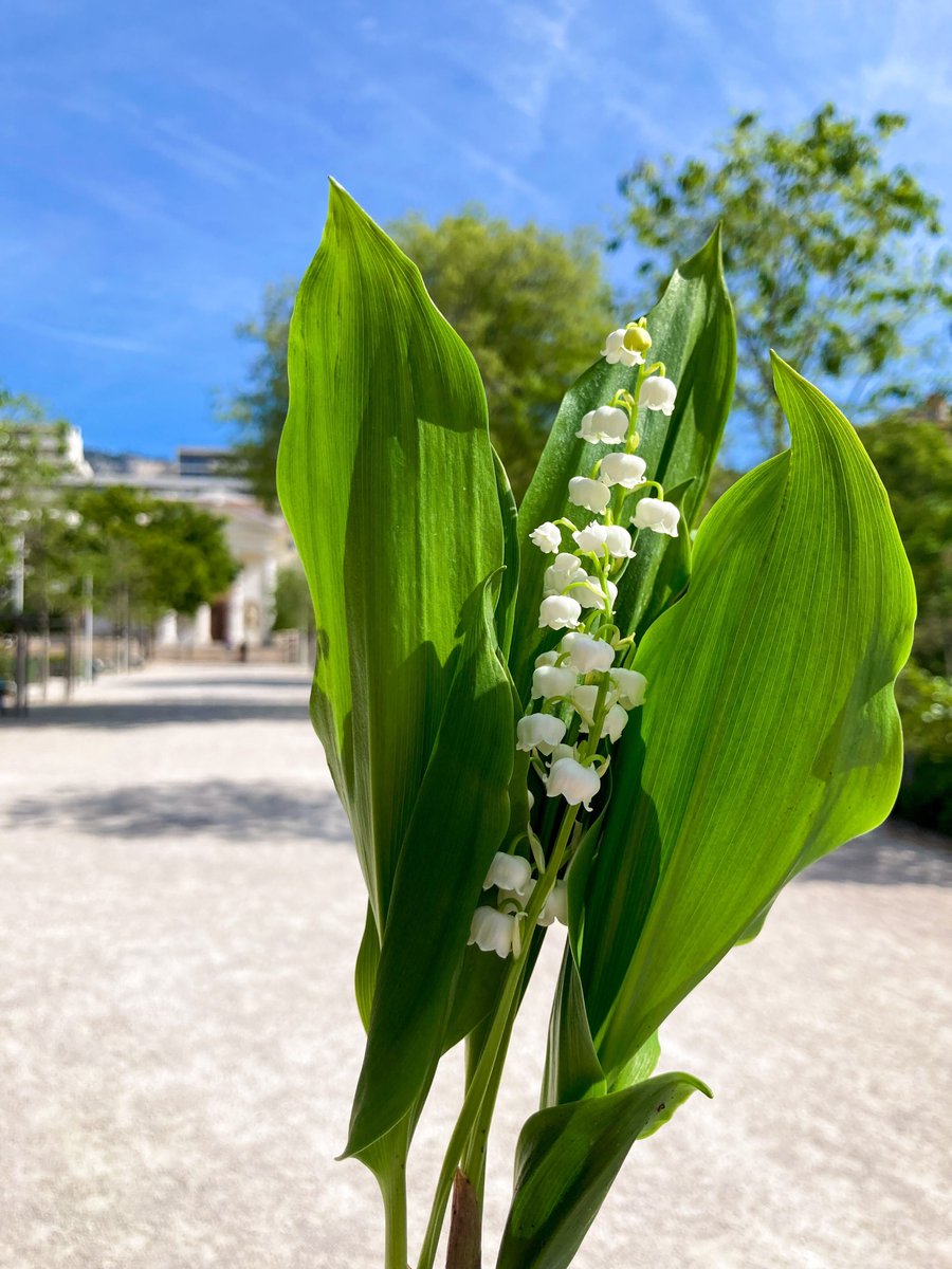 Bon mercredi du 1er mai à #Toulon 🌾💙 📍 Jardin Alexandre 1er