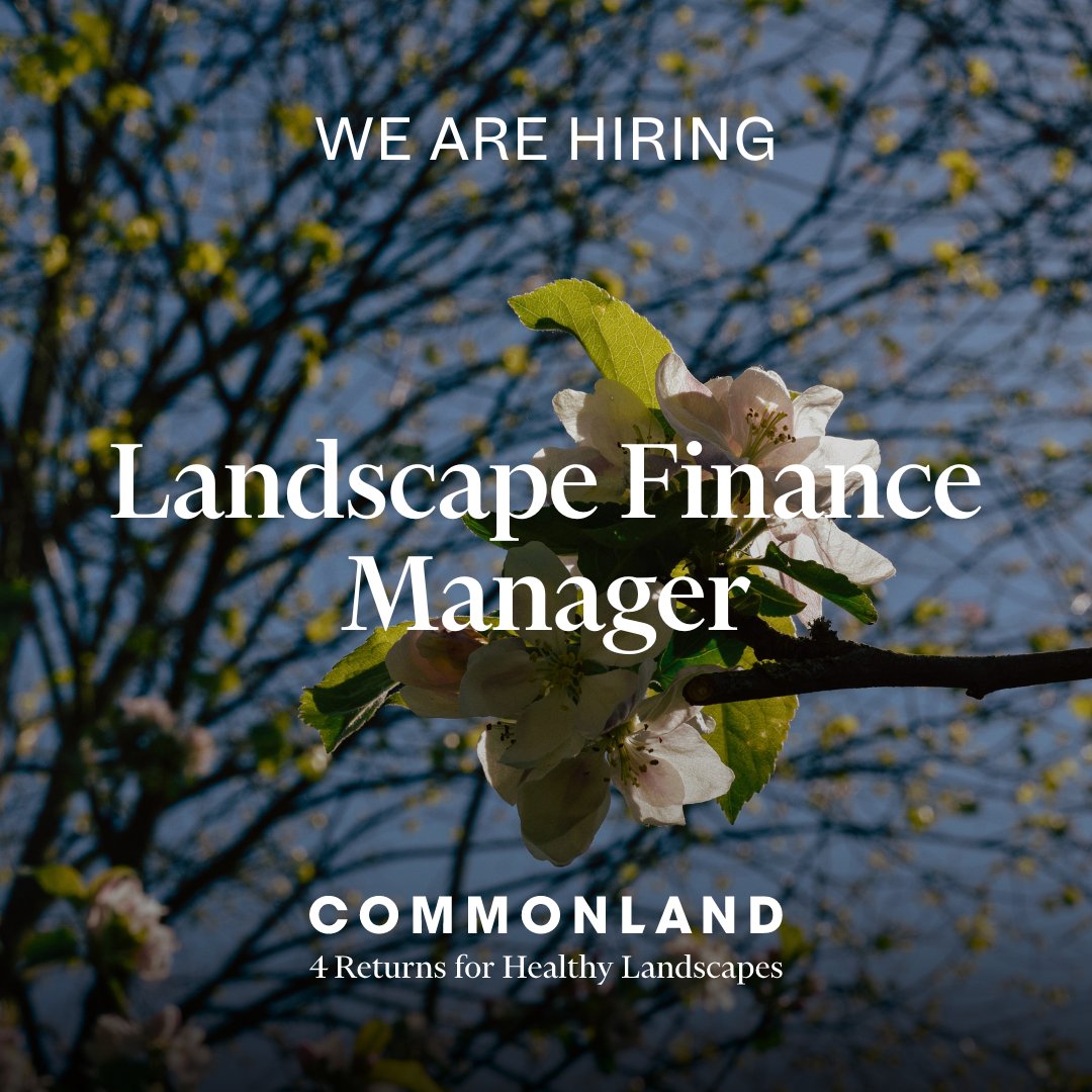 We're hiring a Landscape Finance Manager focused on public sector funding! 🌳 In this position, you will play a pivotal role in identifying and applying for public and private financing partnership opportunities. Interested? Apply via this link: ow.ly/gSPE50RshbS