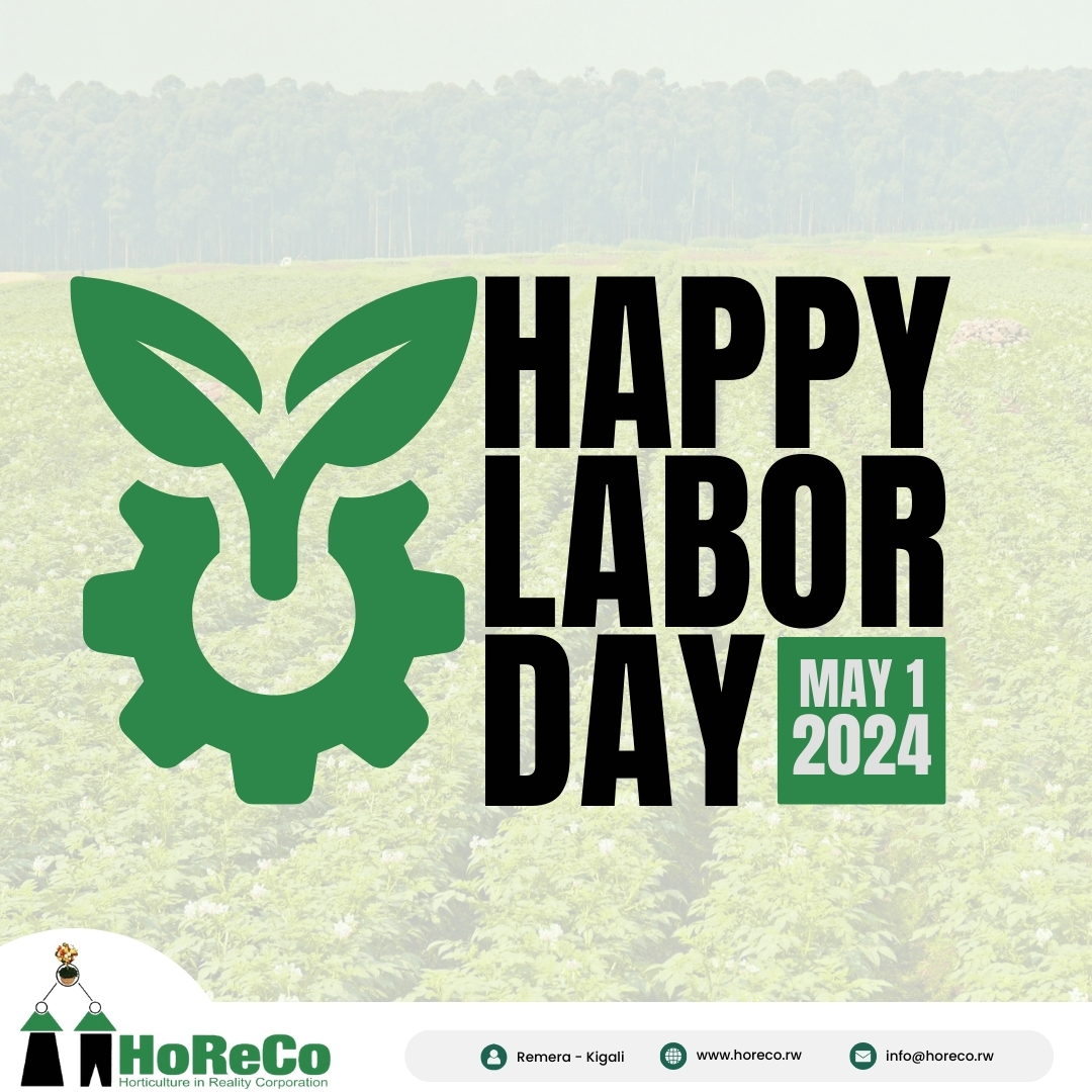 Today, we honor the hands that sow the seeds of tomorrow. Happy Labor Day from our hardworking team to yours! 🌾💪 #HarvestingHope #LaborDay #AgricultureLife