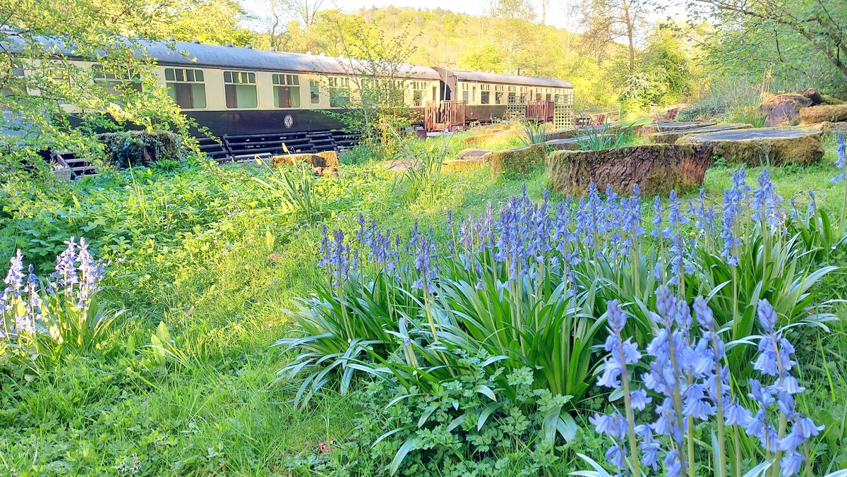 🌼 Welcome to May! 😊
 Enjoying the view from the woodland of the railway carriages @Coalportstation in springtime 🚂🌉🏞️❤️

#HelloMay #NewMonth #May2024 #CoalportStation #RailwayCarriages #IronbridgeGorge #Shropshire #UKWildflowers #photooftheday❤️ #SpringViews #UKNatureLovers