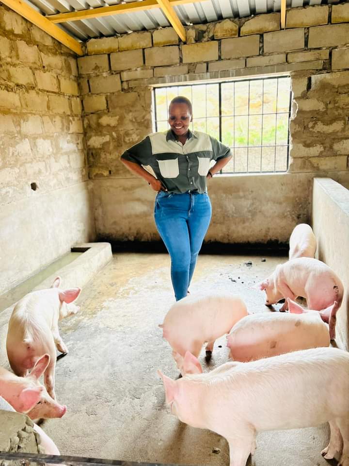 Teacher at work and pig famer after work!

Siphelele Siyaya from Kwanongoma, KZN is a teacher who saved up money to start a piggery business. Today the business employs 5 people 🙌🏾