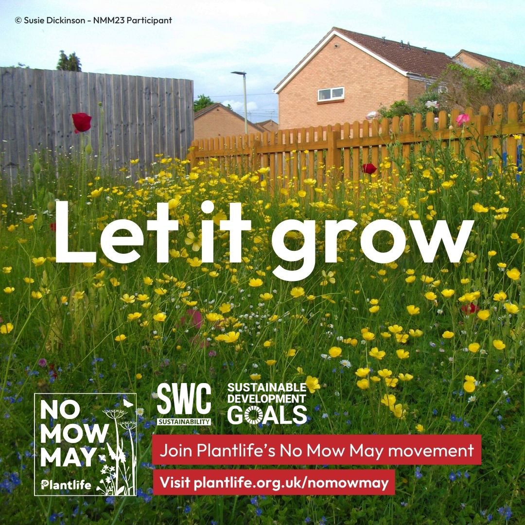 Today marks the start of #NoMowMay. We ask you keep your lawnmower in the shed a bit longer this year as we look to ensure a feast for pollinators, tackle pollution, reduce urban heat extremes, and lock away atmospheric carbon below ground. #nomowmay pulse.ly/jxiv1szvan