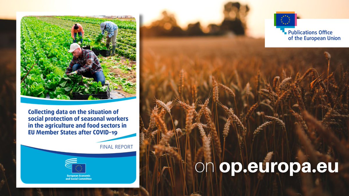 🌾 This #InternationalWorkersDay, let's shed light to the invaluable contribution of seasonal agri-food workers in Europe during planting and harvesting seasons. Learn more at europa.eu/!GR9V6c