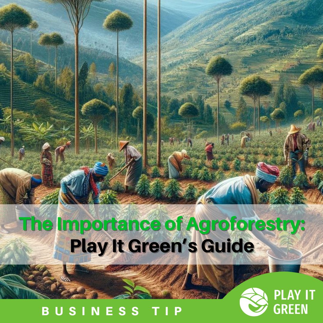 🌱 Explore the World of Agroforestry with Us! 🌿 In our latest article, we delve into the remarkable environmental and social impacts of agroforestry. 💚 playitgreen.com/the-importance… #Sustainability #Agroforestry #NatureRepair #PlayItGreen #SustainableBusiness #ConsciousCapitalism