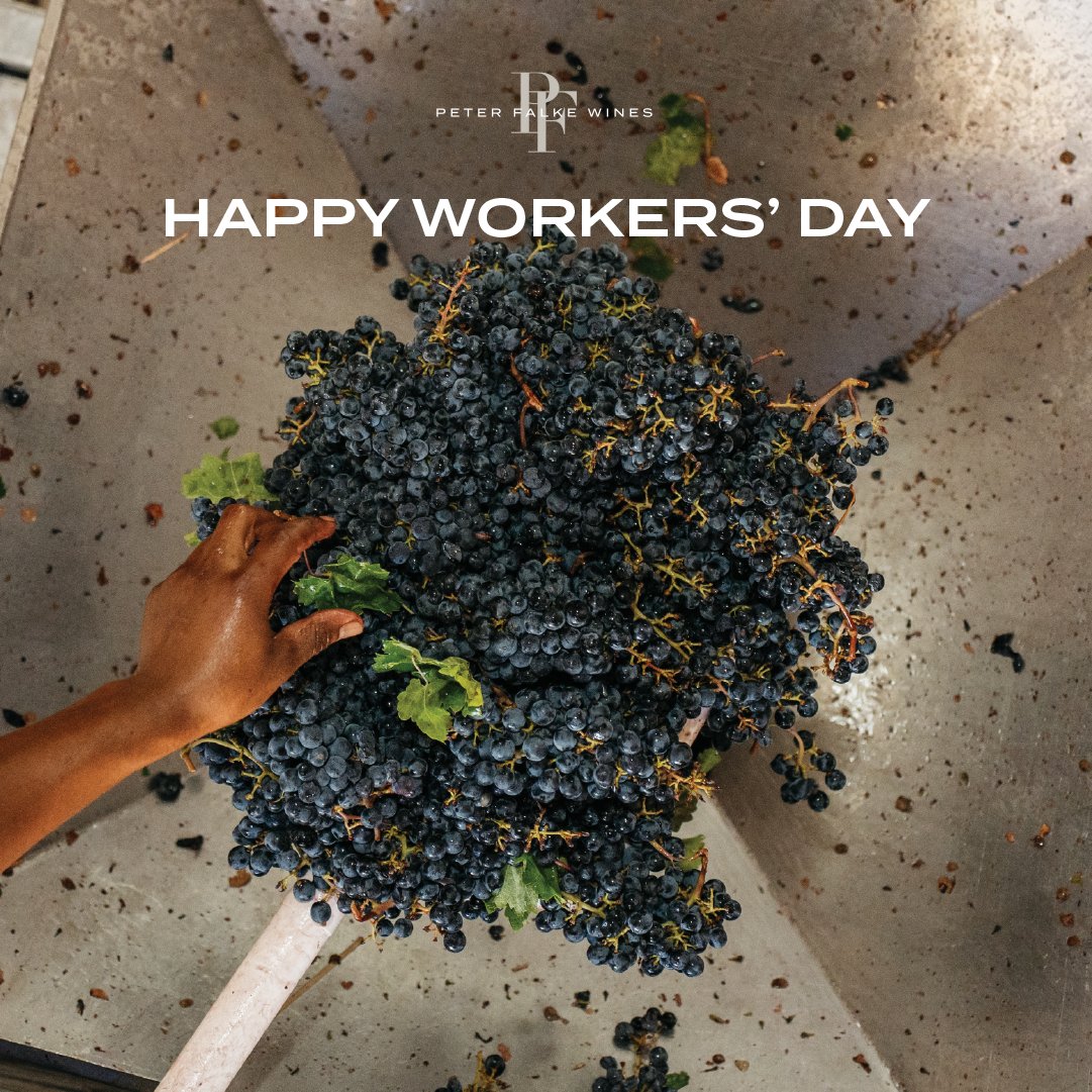 Happy Workers’ Day!

Today, we celebrate and honour the hard work put in every day by each and every staff member and partner of the Peter Falke winery.

To all the staff at Peter Falke, we wish you a happy Workers’ Day!
 
#PeterFalkeWines #StellenboschWineRoute #HappyWorkersDay