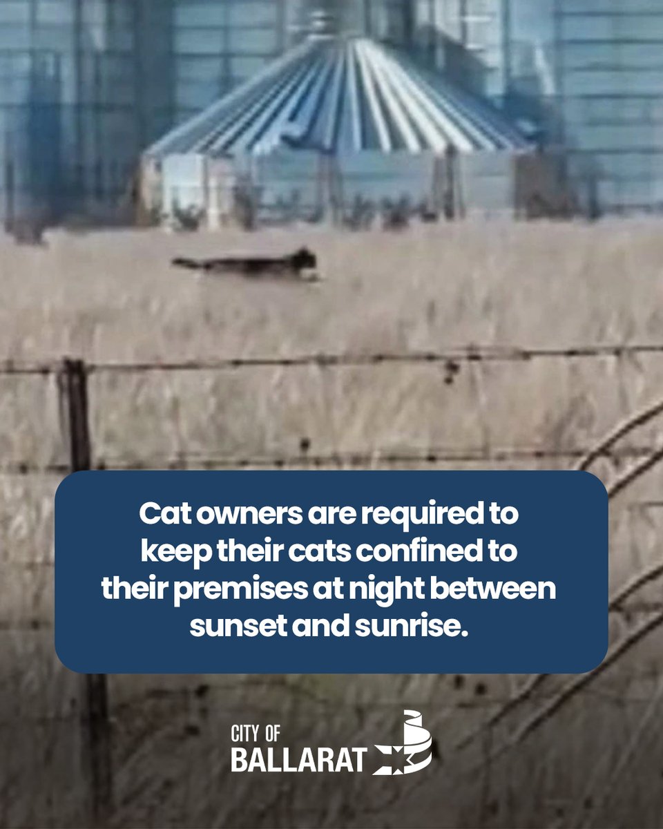 Just a friendly reminder to get your feline friends back home between sunset and sunrise 😉😹 For more information about responsible pet ownership, visit bit.ly/3Lh0XSE #BallaratBlackPanther