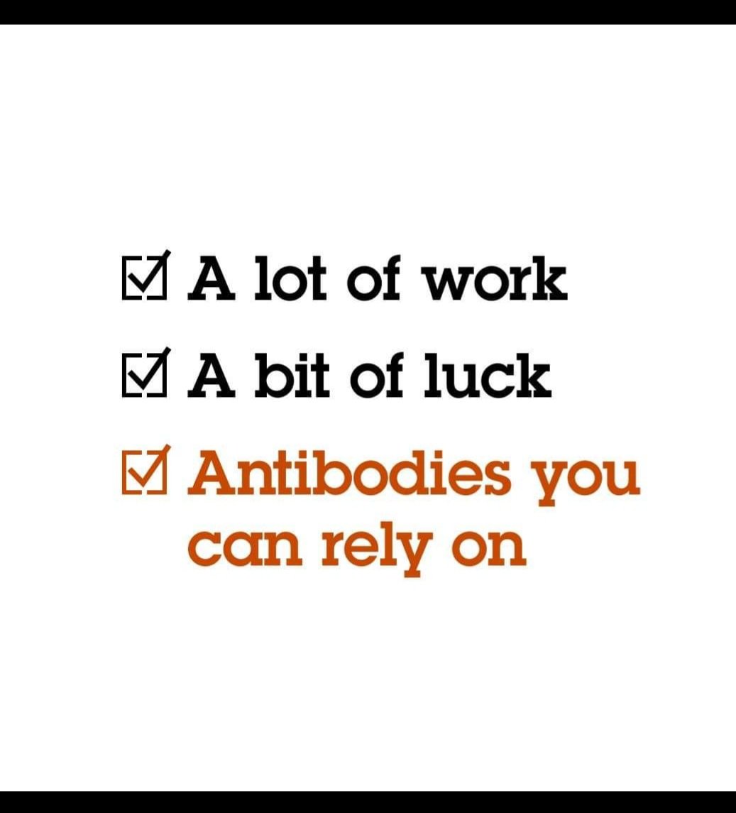 Antikorlarınıza güvenebileceğinizi bilmek, en önemli şeye odaklanabileceğiniz anlamına gelir:
   Araştırmanızı ileriye taşımak.

Endüstri lideri @abcam antikorlarımızı seçtiğinizde, sizi asla yarı yolda bırakmayacaklarını bilirsiniz.

kimeramed.com

#antikor #antibody