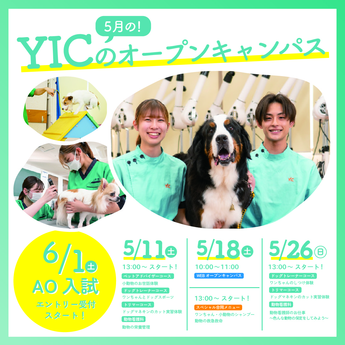 yickyotopet's tweet photo. 🐶５月のオープンキャンパス受付中🐶
5月は
5/11㈯、5/18㈯、5/26㈰
の3日間開催！✂️
前日ご予約・当日ご参加でもOK😁
お気軽にご参加ください💗
6/1から始まるAOエントリーに備えて、『オープンキャンパス参加証明書』をゲットしよう！
詳しい内容は画像かURLをチェック👇
https://t.co/zsOjfnYzpb https://t.co/PbCccU0jRQ