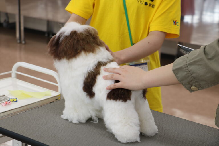 yickyotopet's tweet photo. 🐶５月のオープンキャンパス受付中🐶
5月は
5/11㈯、5/18㈯、5/26㈰
の3日間開催！✂️
前日ご予約・当日ご参加でもOK😁
お気軽にご参加ください💗
6/1から始まるAOエントリーに備えて、『オープンキャンパス参加証明書』をゲットしよう！
詳しい内容は画像かURLをチェック👇
https://t.co/zsOjfnYzpb https://t.co/PbCccU0jRQ