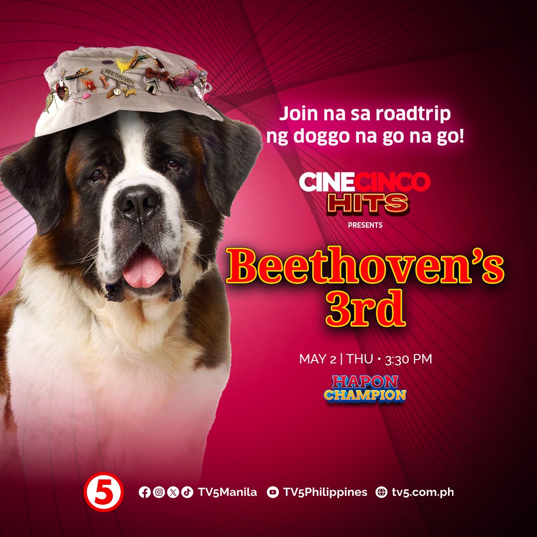 Ngayong THURSDAY, maki-join uli tayo sa exciting outdoor adventure ni Beethoven, ang lovable pero troublemaker na big dog! Abangan ang 2000 comedy movie na 'Beethoven's 3rd' sa #CineCincoHitsTV5, MAMAYA, 3:30 PM sa #HaponChampionTV5