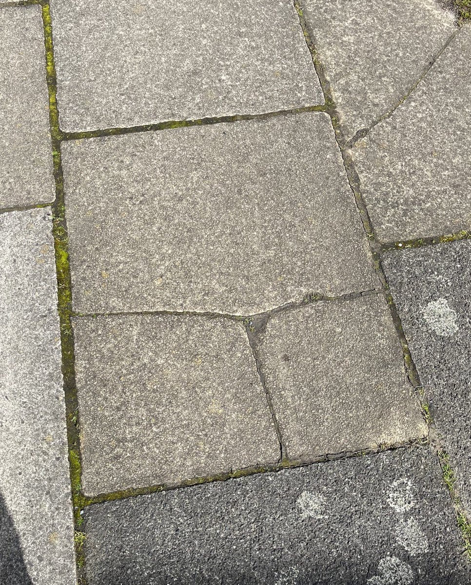 Sometimes you just look down at the pavement and realise it looks better in a thong than you would.